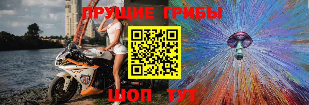 продажа наркотиков  Галлюциногенные грибы Cubensis  Вход с VPN  Ртищево 