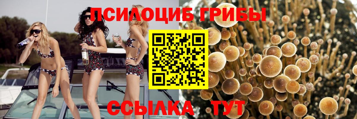 Псилоцибиновые грибы ЛСД Ртищево